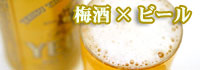梅酒×ビール